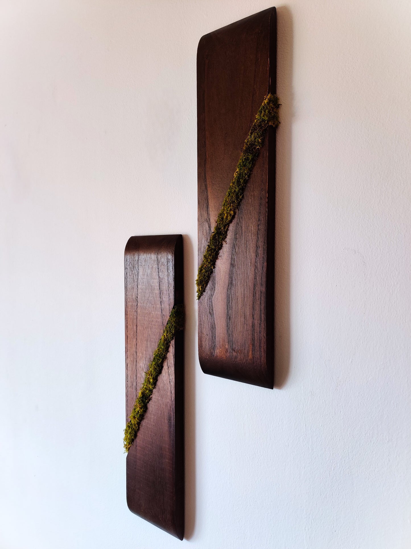 Decoración de pared en madera con musgo